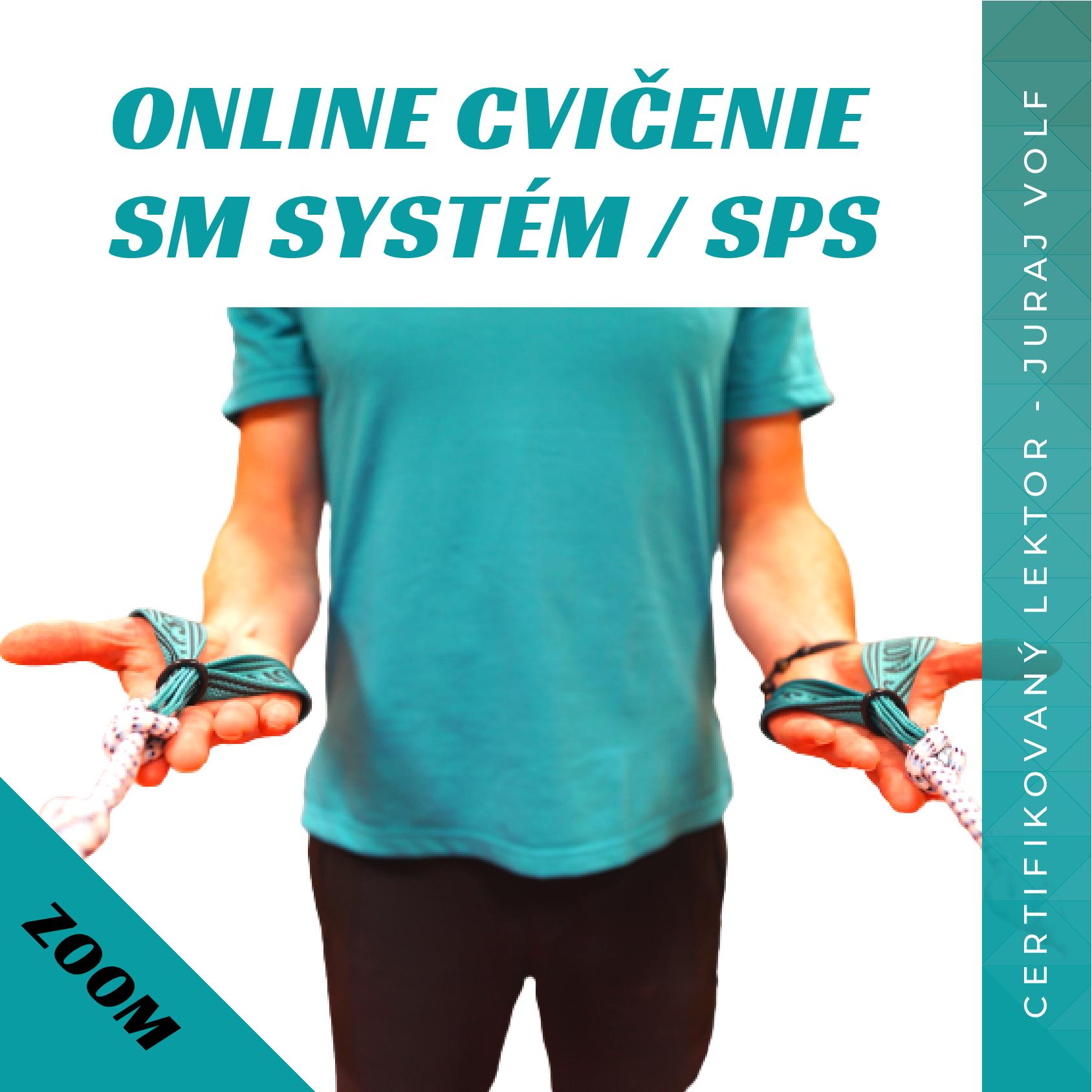 ONLINE cvičenie SM systém SPS